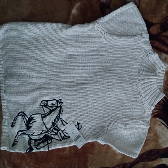 Anthropologie Sweaters - new sweater